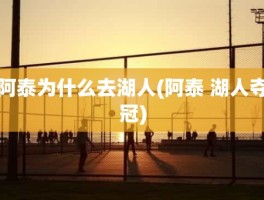 阿泰为什么去湖人(阿泰 湖人夺冠)