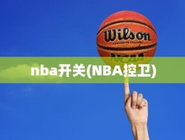 nba开关(NBA控卫)