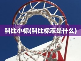 科比小标(科比标志是什么)
