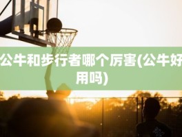 公牛和步行者哪个厉害(公牛好用吗)