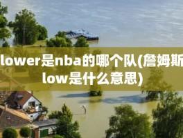 lower是nba的哪个队(詹姆斯low是什么意思)