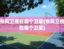 东风卫视在哪个卫星(东风卫视在哪个卫星)