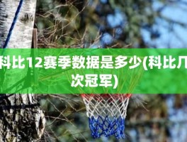 科比12赛季数据是多少(科比几次冠军)