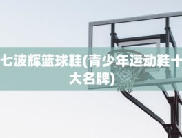 七波辉篮球鞋(青少年运动鞋十大名牌)