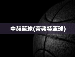 中赫篮球(帝弗特篮球)