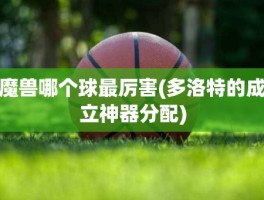 魔兽哪个球最厉害(多洛特的成立神器分配)