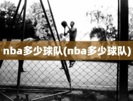 nba多少球队(nba多少球队)