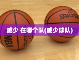 威少 在哪个队(威少球队)