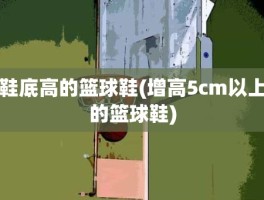 鞋底高的篮球鞋(增高5cm以上的篮球鞋)