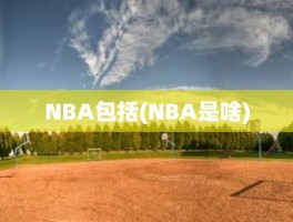 NBA包括(NBA是啥)