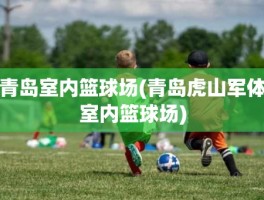 青岛室内篮球场(青岛虎山军体室内篮球场)