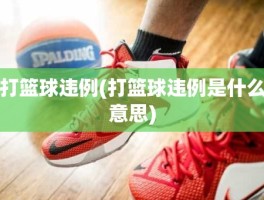打篮球违例(打篮球违例是什么意思)
