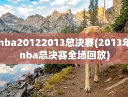nba20122013总决赛(2013年nba总决赛全场回放)