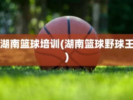 湖南篮球培训(湖南篮球野球王)