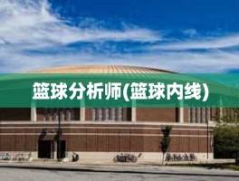 篮球分析师(篮球内线)