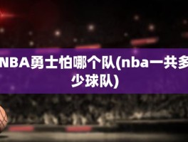 NBA勇士怕哪个队(nba一共多少球队)
