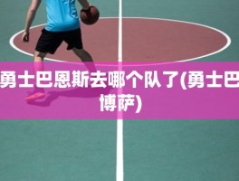 勇士巴恩斯去哪个队了(勇士巴博萨)