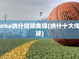 nba纳什传球集锦(纳什十大传球)