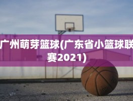 广州萌芽篮球(广东省小篮球联赛2021)