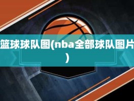 篮球球队图(nba全部球队图片)