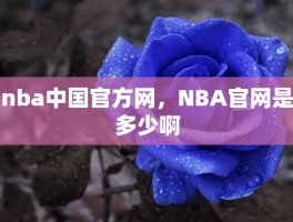 nba中国官方网，NBA官网是多少啊