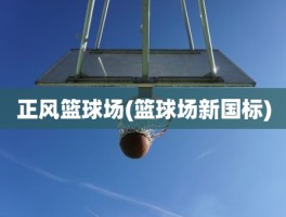 正风篮球场(篮球场新国标)