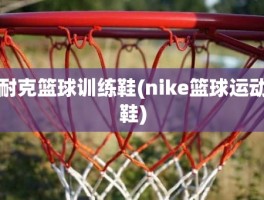 耐克篮球训练鞋(nike篮球运动鞋)
