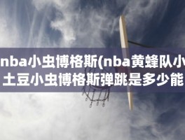 nba小虫博格斯(nba黄蜂队小土豆小虫博格斯弹跳是多少能扣篮吗)