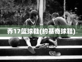 乔17篮球鞋(约基奇球鞋)