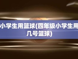 小学生用篮球(四年级小学生用几号篮球)
