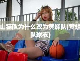 山猫队为什么改为黄蜂队(黄蜂队球衣)