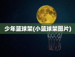 少年篮球架(小篮球架图片)