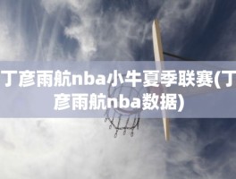 丁彦雨航nba小牛夏季联赛(丁彦雨航nba数据)