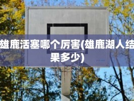 雄鹿活塞哪个厉害(雄鹿湖人结果多少)