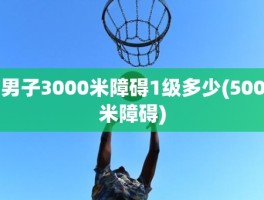 男子3000米障碍1级多少(500米障碍)