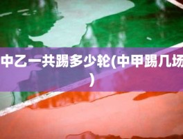 中乙一共踢多少轮(中甲踢几场)