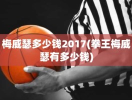 梅威瑟多少钱2017(拳王梅威瑟有多少钱)