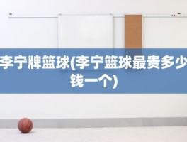 李宁牌篮球(李宁篮球最贵多少钱一个)