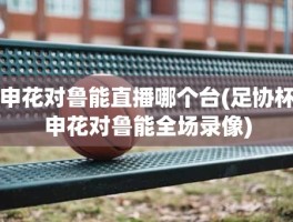 申花对鲁能直播哪个台(足协杯申花对鲁能全场录像)
