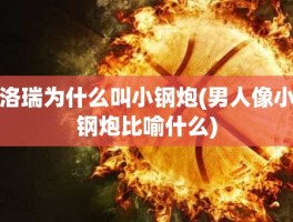 洛瑞为什么叫小钢炮(男人像小钢炮比喻什么)