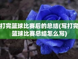 打完篮球比赛后的总结(写打完篮球比赛总结怎么写)