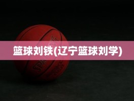篮球刘铁(辽宁篮球刘学)