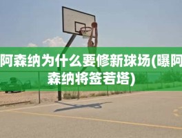 阿森纳为什么要修新球场(曝阿森纳将签若塔)