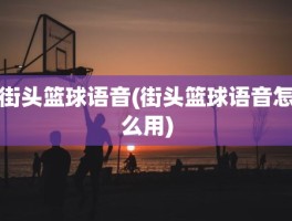 街头篮球语音(街头篮球语音怎么用)