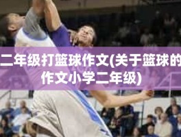 二年级打篮球作文(关于篮球的作文小学二年级)