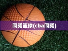 同曦篮球(cba同曦)