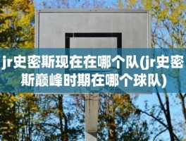 jr史密斯现在在哪个队(jr史密斯巅峰时期在哪个球队)