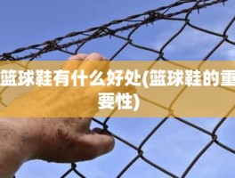 篮球鞋有什么好处(篮球鞋的重要性)
