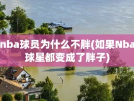 nba球员为什么不胖(如果Nba球星都变成了胖子)