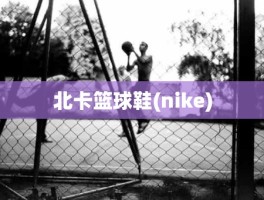 北卡篮球鞋(nike)